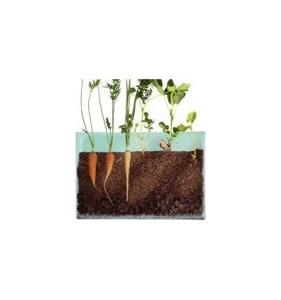 VISIO NATURE RACINE ET LOMBRIC