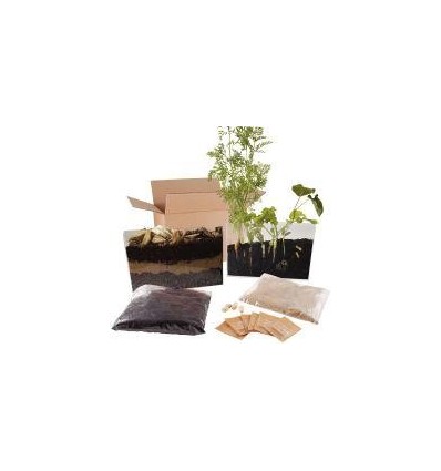 VISIO NATURE RACINE ET LOMBRIC