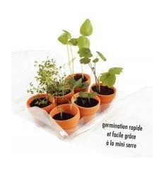 SERRE 6 POTS MON 1ER JARDIN