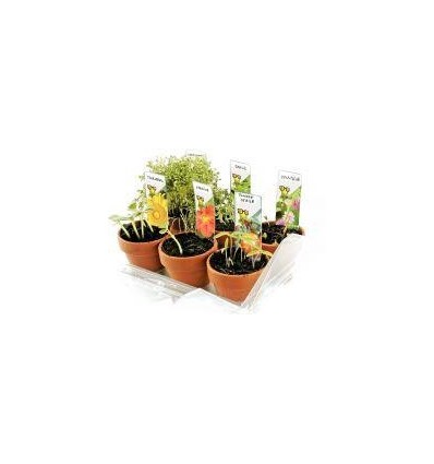 SERRE 6 POTS MON 1ER JARDIN