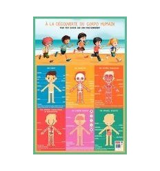 POSTER PVC 76X52 CORPS HUMAIN 2