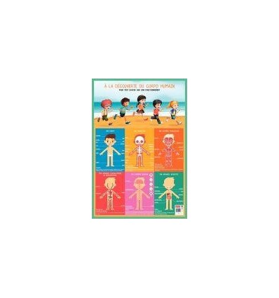 POSTER PVC 76X52 CORPS HUMAIN