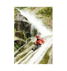 CART MEM MICRO SD UHSI PRO 64G