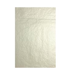 SAC 8F PAP.SOIE 50X75 ARGENT 2