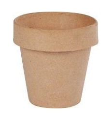 LOT 10 POT DE FLEUR CRT H10CM