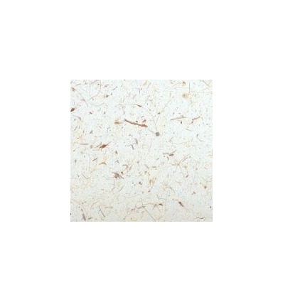 SAC 18F PAPIER NATUREL 23X33CM