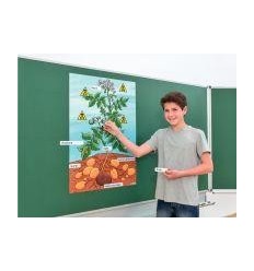 PLANT POMME DE TERRE MAGNET. 2