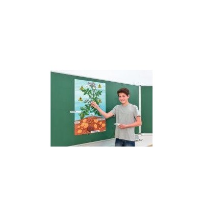 PLANT POMME DE TERRE MAGNET.