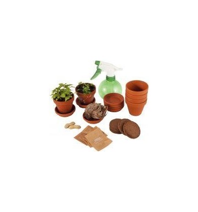 SET 5 PLANTE EXTRAORDINAIRE