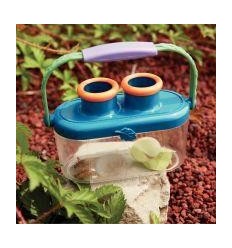 OBSERVATOIRE LOUPE INSECTES 2