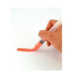 LOT6 BROSSE PLATE LARGE+RESERV