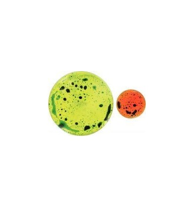 LOT 2 RONDS GEL BICOLORE