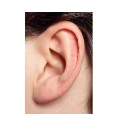 QUISENSI SUPER PACK TACTILE 2