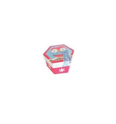 LOT 10 BTE CARTON HEXAG DIA8CM