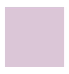 RAM 500F CLAIRF A4 80G LILAS