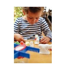 KIT 10 MOULE FERME+2,4KG PLATR 2
