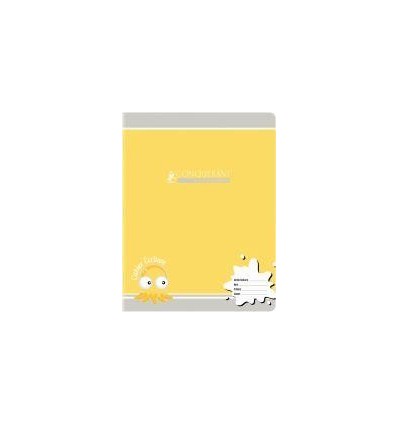 PIQ 32P 17X22 SEYES 2,5MM  90G