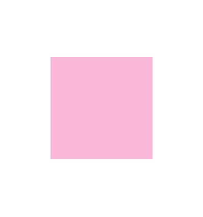 ETUI30 FEUTRES FINELINER DT6GR