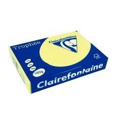 PQ 250F CLAIRF A4 160G JONQUIL 2