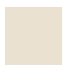 RAM 500F CLAIRF A3 80G IVOIRE