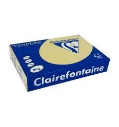 RAM 500F CLAIRF A3 80G CARAMEL 2