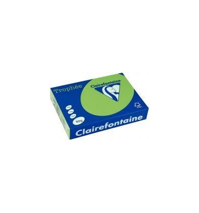 RAM 500F CLAIRF A3 80G VRT MEN