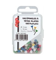 BTE 100EPINGLE   5MM ASS