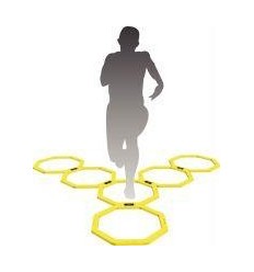 LOT 12 CERCEAU OCTOGONAUX D.45