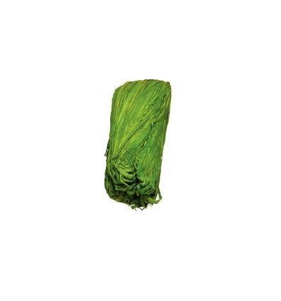 PELOTE 50G RAPHIA VEGETAL VERT