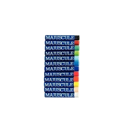 BTE 12 CRAIE PASTEL HUILE MAJU