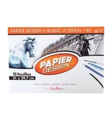 POCH 12F DESS 180G 21X29,7EXEL