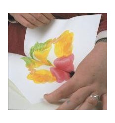 CRT 12FL 250ML CREALL PEARL 2