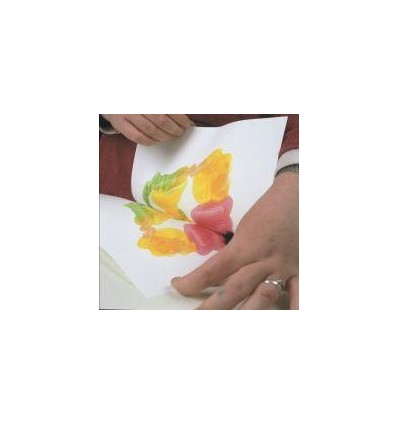 CRT 12FL 250ML CREALL PEARL