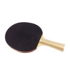 RAQUETTE DE PING-PONG 2