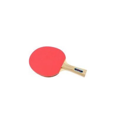 RAQUETTE DE PING-PONG