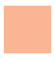 RAM 500F A4 80G SAUMON RECYCLE