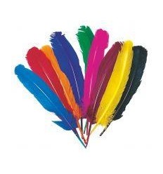 SACHET 12 PLUMES INDIEN C.ASS