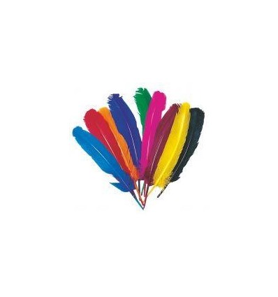 SACHET 12 PLUMES INDIEN C.ASS
