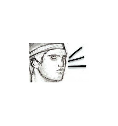 BTE 100 FUSAINS 6CM-DIA 4A6MM