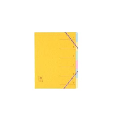 TRIEUR CARTE ELASTIQ 6 CASES