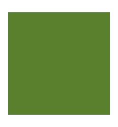 BTE12 FEUTR VISACOL 1161VRT