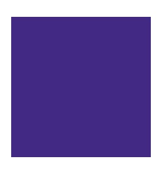 BTE12 FEUTR VISACOL 1161VIOLET