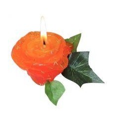 CIRE A MODELER +/-1KG VIVE AS