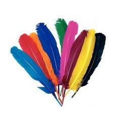 SACHET 100G PLUMES INDIEN ASS