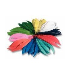 SACHET 100G PLUMES INDIEN ASS 2