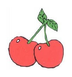 LOT 5FL 250ML PEINT 3D ASS