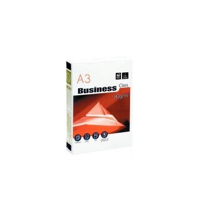 RAM 500F A3 80G BLC BUSINESS