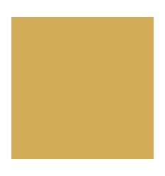 PQ 10F DESSIN 50X65 160G CIT