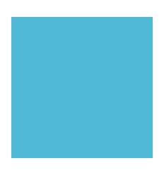 PQ 10F DESSIN 50X65 160G TUR