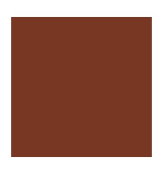 PQ 10F DESSIN 50X65 160G CHOCO